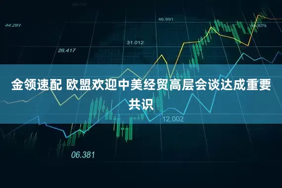 金领速配 欧盟欢迎中美经贸高层会谈达成重要共识