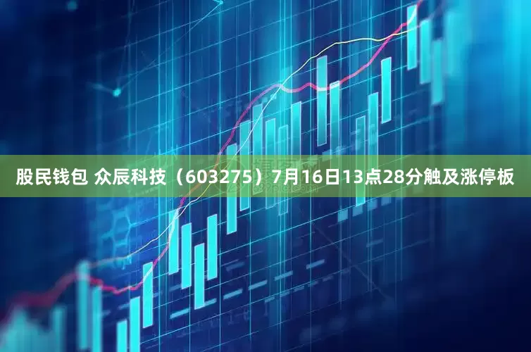 股民钱包 众辰科技（603275）7月16日13点28分触及涨停板