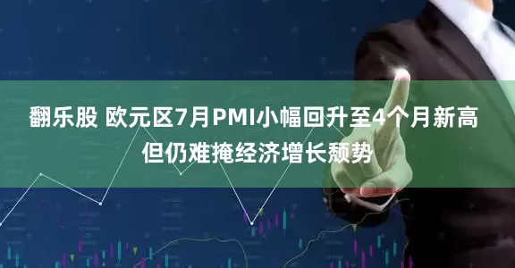 翻乐股 欧元区7月PMI小幅回升至4个月新高 但仍难掩经济增长颓势