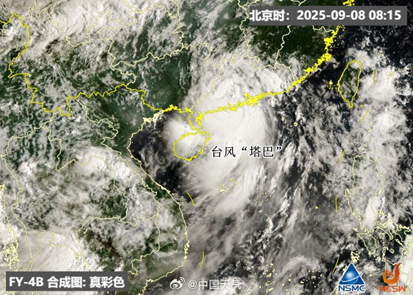 间群策略 刚刚登陆！台风雨进入最强时段！大暴雨、大风来了